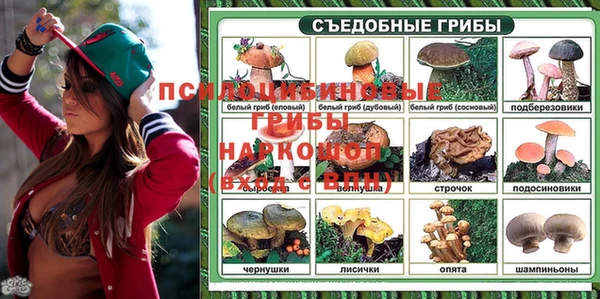ALPHA-PVP Зеленокумск
