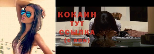 PSILOCYBIN Хадыженск