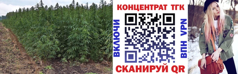 ТГК вейп с тгк  Купить  Черняховск 